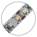 LS REEL 108LED CW 59W 12V 5M  12807410000CC/12807410001CC