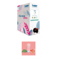 ESSENZAPINK POSITIVE 3 L      BWT 16920AC